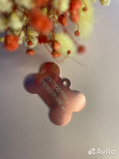 Адресники для собак и кошек