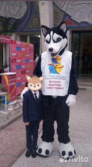 Школьный пиджак acoola