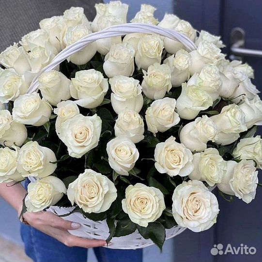 101 Роза Цветы Букеты 51 25 Роз Доставка