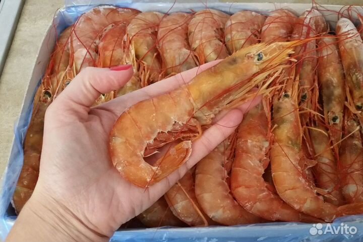 Морепродукты с быстрой доставкой на дом