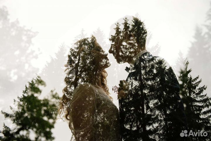 Профессиональный Свадебный фотограф Спб и Ло