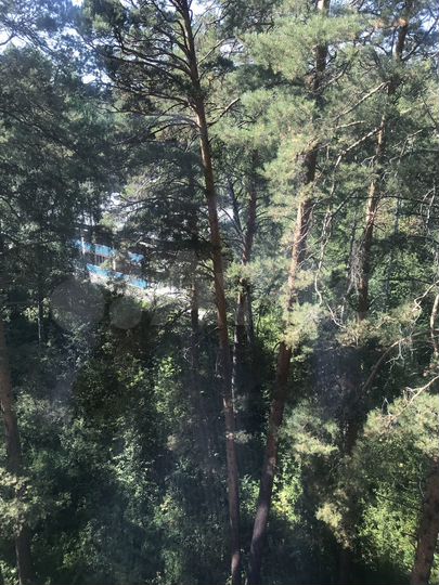 Машиноместо, 24 м²