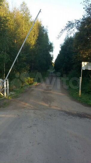 Участок 11,5 сот. (СНТ, ДНП)