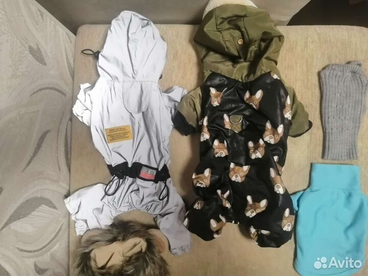 Одежда для маленьких собак