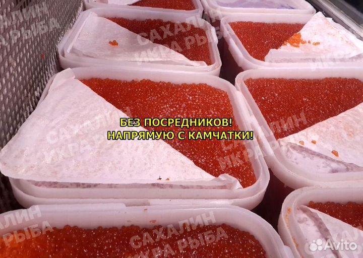 Горбуша икра красная 2023