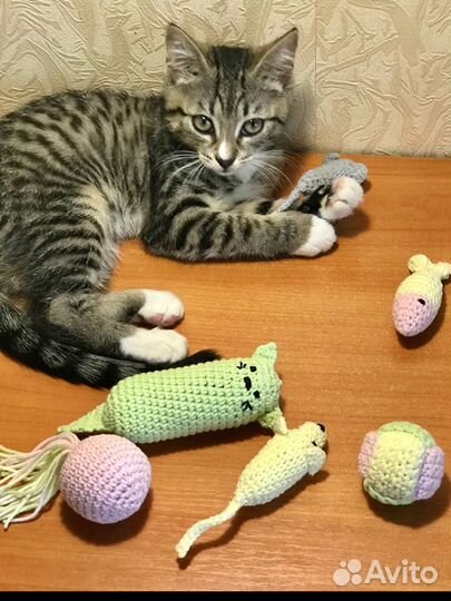 Игрушки для котят, кошек, котов. Ручная работа