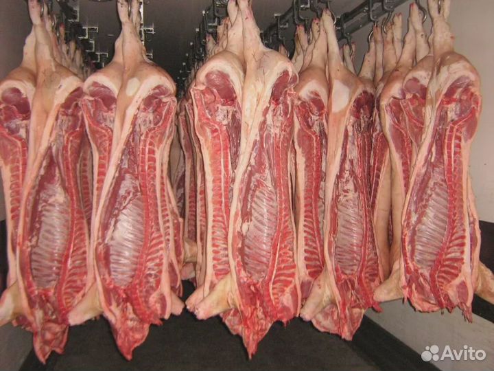 Продам свежее мясо
