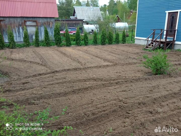 Сад благоустройство