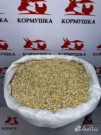 Кукуруза Колотая