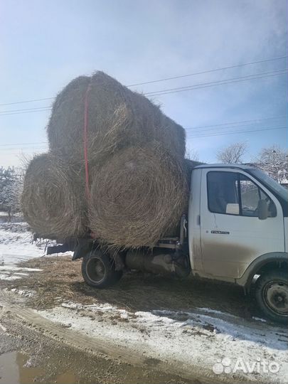 Продам сено в рулонах