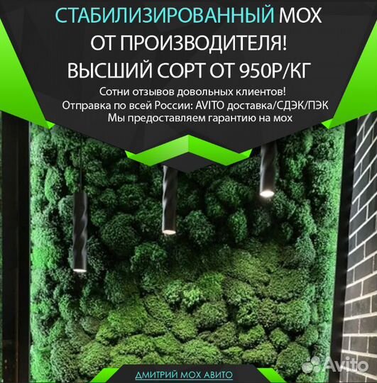 Стабилизированный мох для декора стен панно