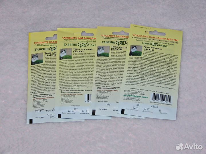 Трава для кошек 