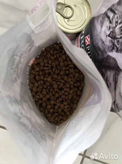 Корм для котят