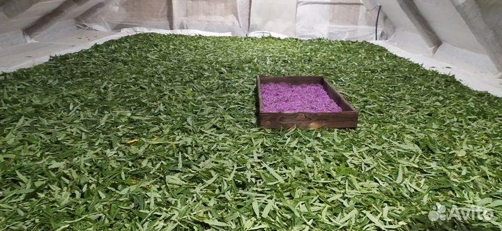 Иван-чай с малиной