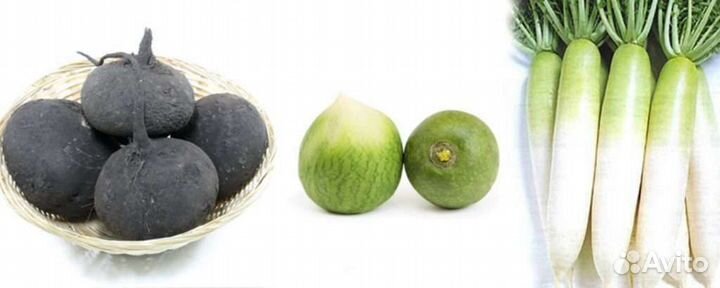 Семена редьки