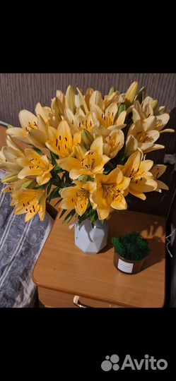 Луковицы лилии