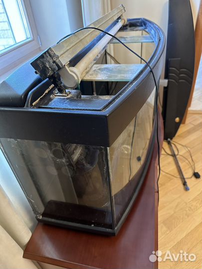 Аквариум, гнутое стекло импортный, Франция