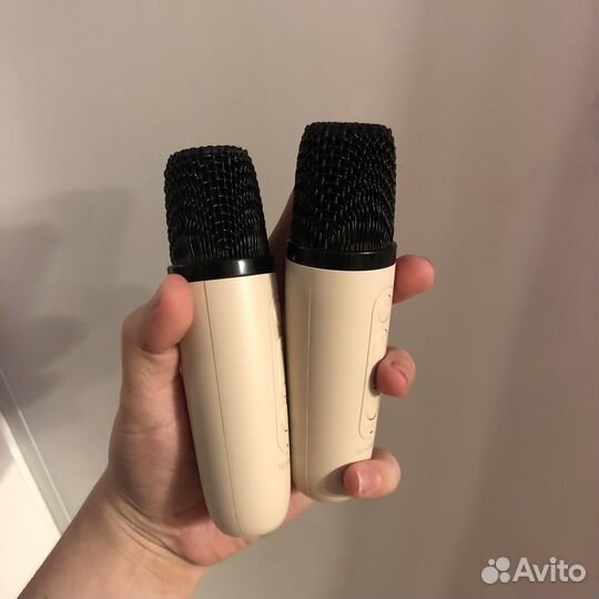 Колонка с двумя микрофонами