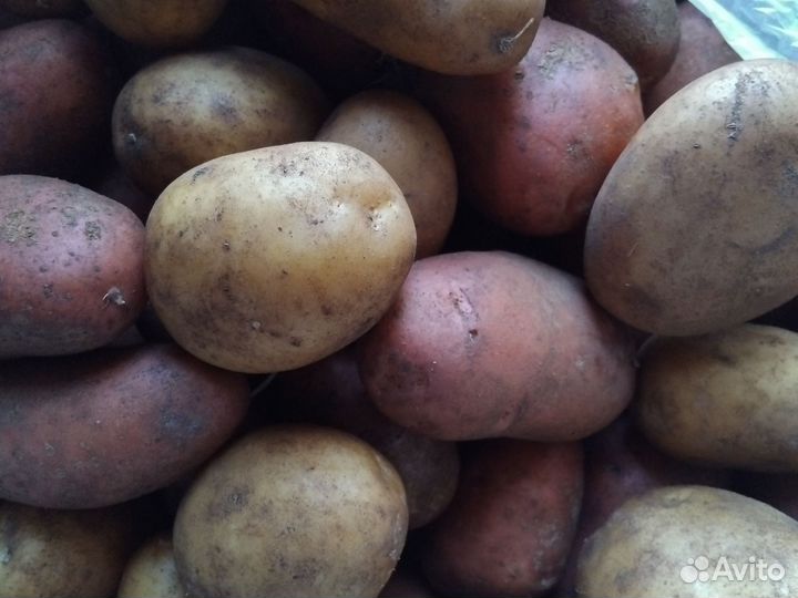 Картофель на еду