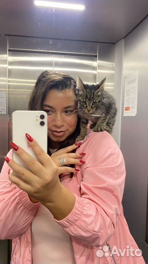 Отдам котенка в добрые руки