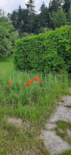 Дача 40 м² на участке 6,4 сот.