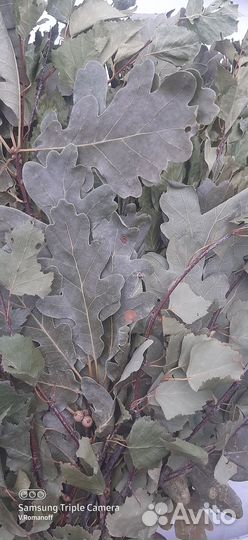 Веники для бани В комплекте