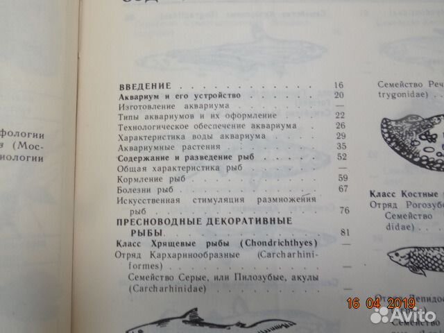 Декоративное рыбоводство