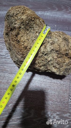 Коряги дрифтвуд