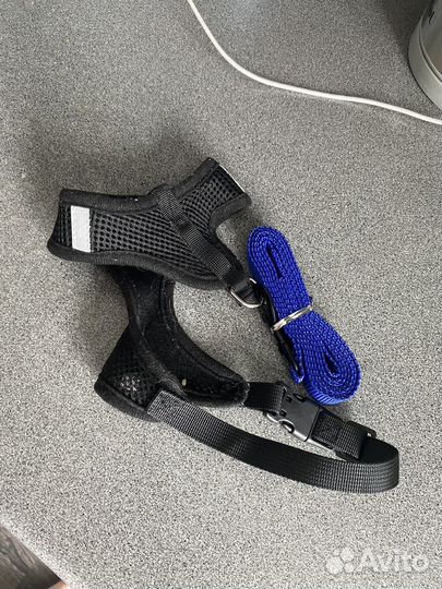 Шлейка с поводком