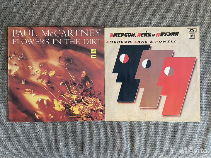 Виниловые пластинки