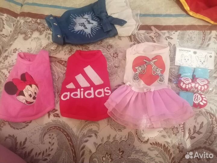 Вещи для маленьких собак