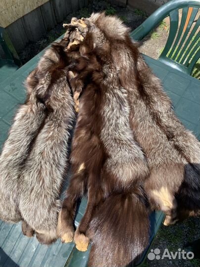 Шкурки чернобурой лисы