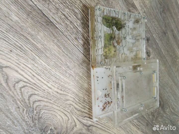 Муравьиная ферма бу. Бесплатно