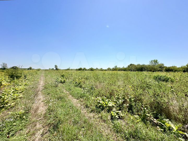 Участок 30 сот. (СНТ, ДНП)