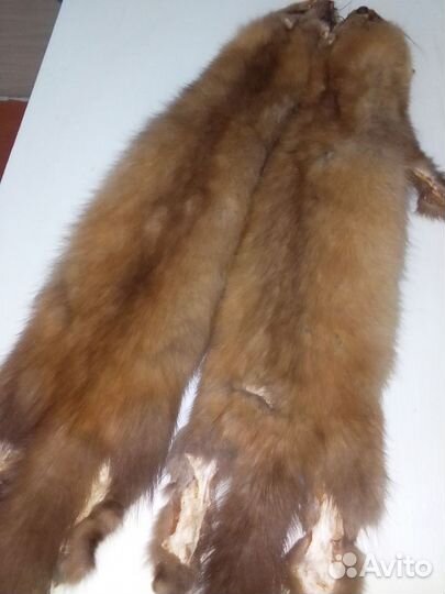 Шкурки соболя