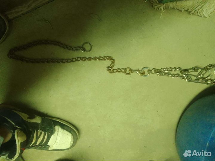 Строгий ошейник