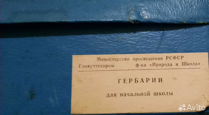 Гербарий для начальной школы