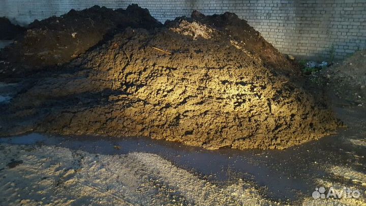 Перегной древесины (удобрение) для огорода