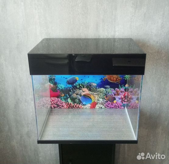 Аквариум /террариум 55л