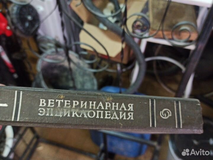Ветеринарная эндокринология