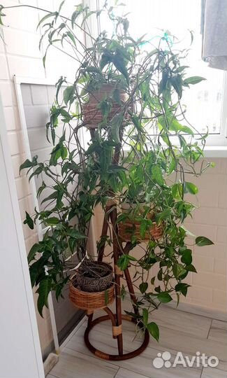 Стойка с цветами из ротанга