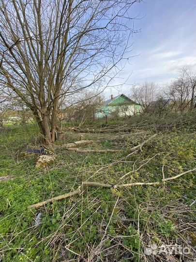 Дрова бесплатно самовывоз