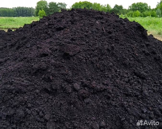Чернозём