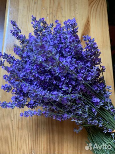 Букет лаванды