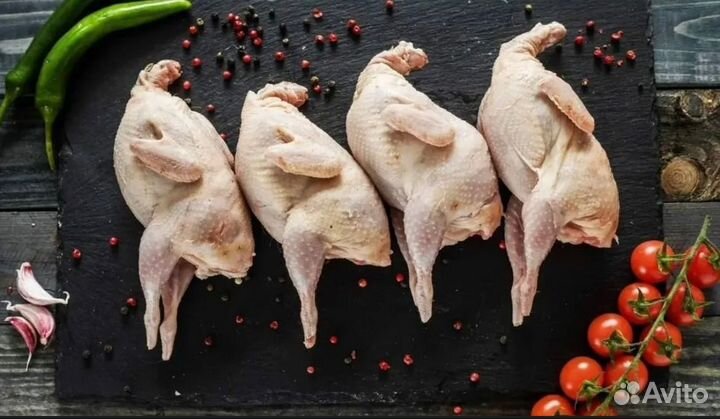 Перепелки тушки/ перепел живой/ яйцо