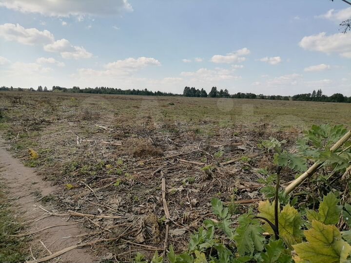 Участок 24,91 га (СНТ, ДНП)