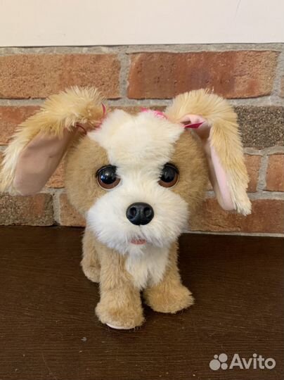 Интерактивный щенок Fur Read friends