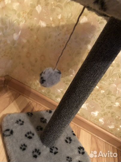 Когтеточка для кошек