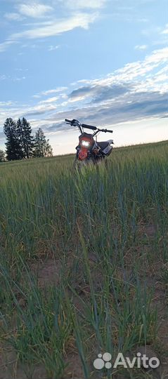 Питбайк regulmoto seven pro