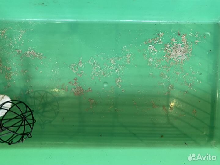 Клетка для грызунов бу